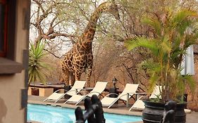B&B African Rock Lodge